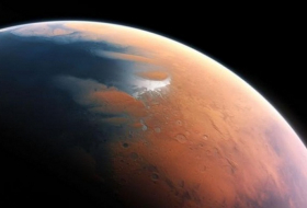 Microbes could survive thin air of Mars 